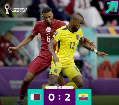 卡塔尔世界杯吃瓜