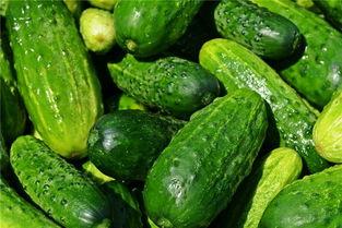 梦到自己吃坏瓜,吃坏瓜背后的寓意与启示