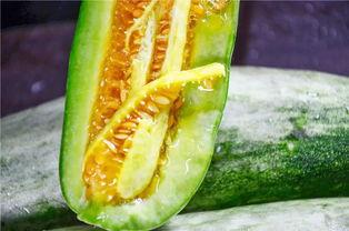 萝卜吃瓜,一场味蕾的盛宴