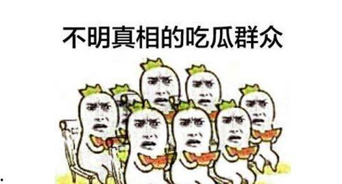 陈主任吃瓜群众,揭秘娱乐圈幕后风云
