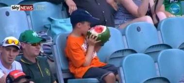 吃瓜播报员,吃瓜播报员带你揭秘娱乐圈最新热点事件