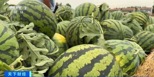 生瓜怎么吃,探索新鲜口感与营养的完美结合