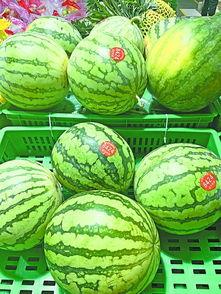 什么人在吃瓜,明星们吃瓜背后的故事