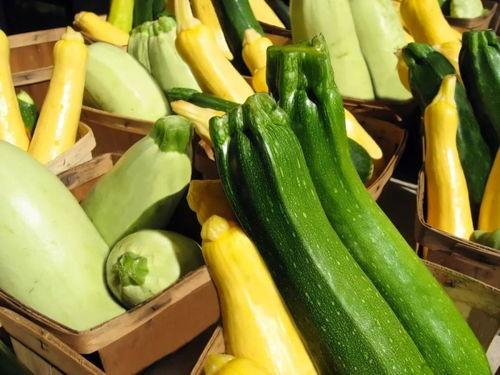 上期所吃瓜,那些被遗忘的瓜事回顾