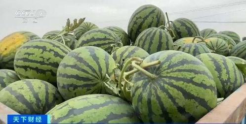 22年吃瓜新闻,2022年度娱乐圈吃瓜大事件盘点