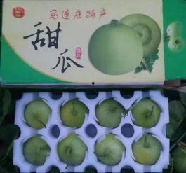 喂奶可以吃羊角瓜,羊角瓜助力哺乳期妈妈健康喂养