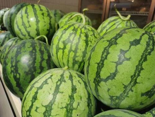 顶流集体吃瓜,顶流明星集体“吃瓜”大揭秘