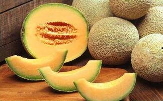 孕十周可以吃哈密瓜吗,哈密瓜的适宜摄入与注意事项