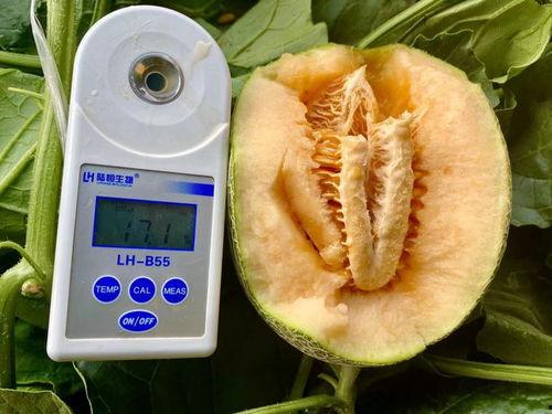 吃瓜合集‘,揭秘娱乐圈那些不为人知的幕后故事