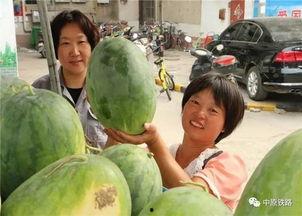 安徽小区吃瓜事件,邻里纠纷引发社会关注