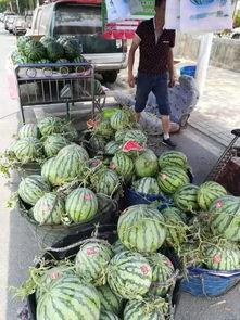 安徽小区吃瓜事件,邻里纠纷引发社会关注