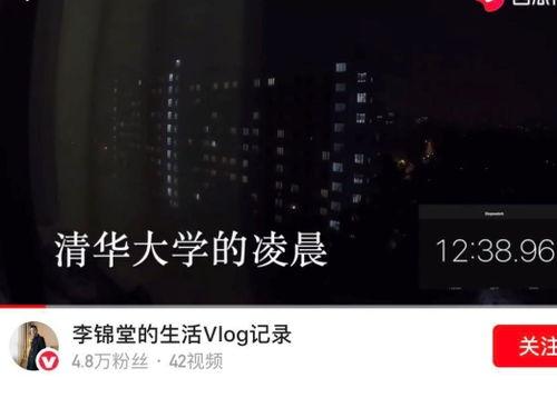 吃瓜的视频vlog,一场视觉与味蕾的双重盛宴