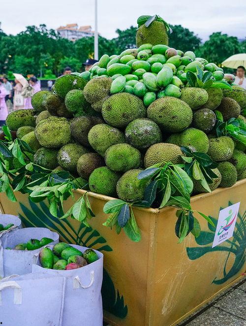 德宏吃瓜视频,揭秘当地特色美食与风土人情