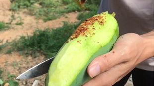 德宏吃瓜视频,揭秘当地特色美食与风土人情