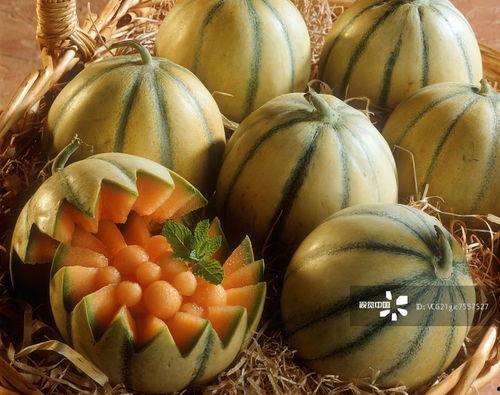 云兰吃瓜密码,揭秘娱乐圈背后的秘密风云