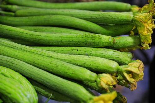 水瓜需不需要刮皮吃呢视频,需不需要刮皮揭秘