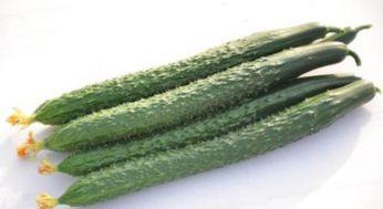 水瓜需不需要刮皮吃呢视频,需不需要刮皮揭秘