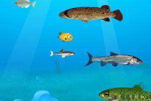 小瓜吃小鱼视频大全下载,趣味视频大全下载攻略