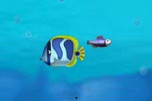 小瓜吃小鱼视频大全下载,趣味视频大全下载攻略