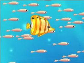 小瓜吃小鱼视频大全下载,趣味视频大全下载攻略