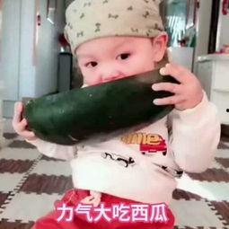 吃瓜啦小视频,揭秘娱乐圈幕后故事