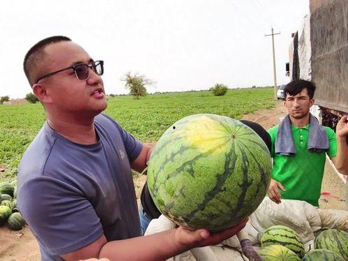 吃瓜视频免费安装