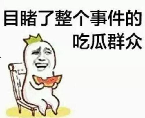 吃瓜群众的独白视频播放,一场全民参与的娱乐盛宴